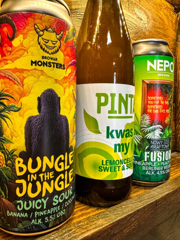 piwo sour jakie